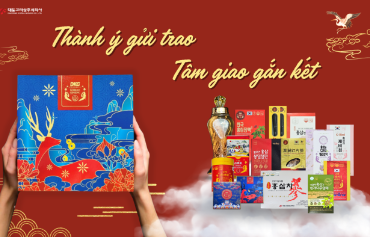 Khám phá công dụng của hồng sâm tẩm mật ong Daedong