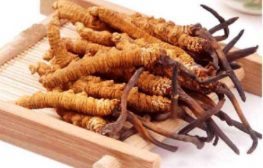 Nước linh chi táo đỏ Daedong – Sự kết hợp hoàn hảo cho sức khỏe 
